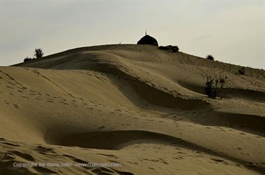 03 Camelride,_Sanddunes,_Kuri_DSC3406_b_H600